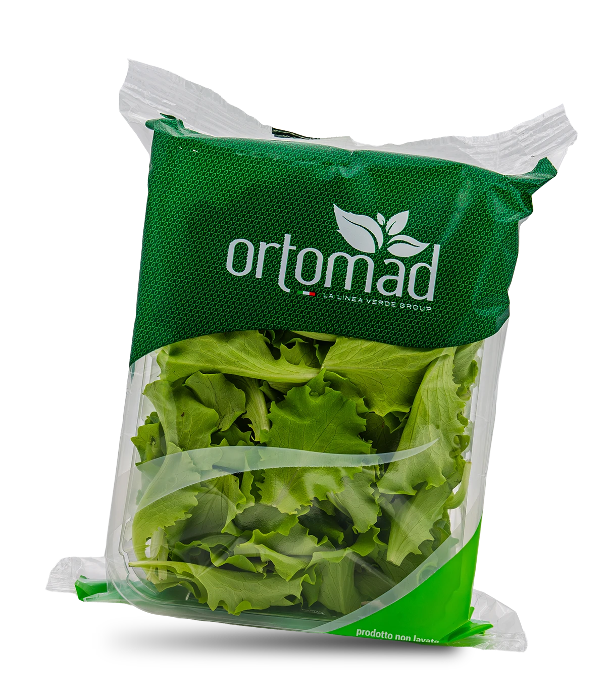 Lattughino Verde