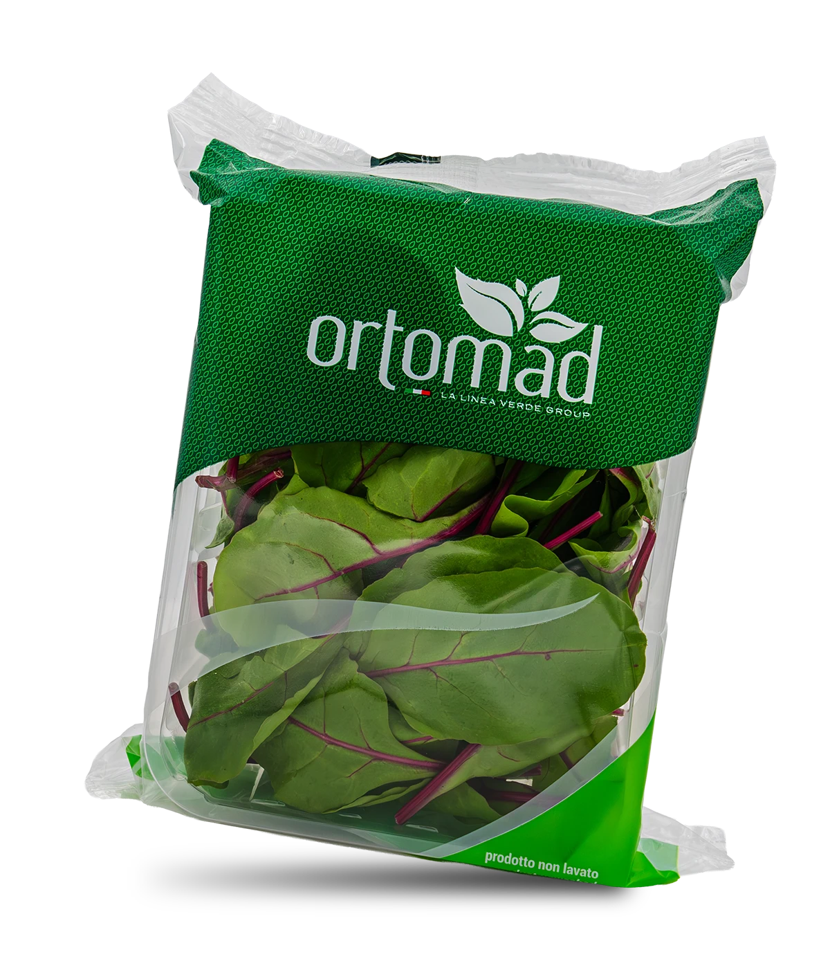 Red Chard