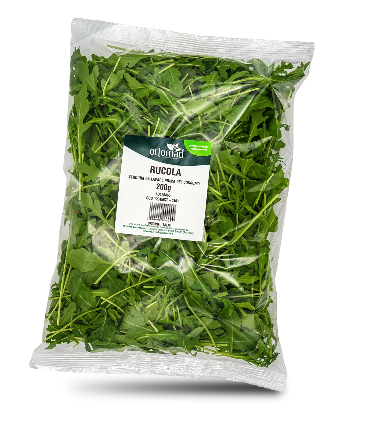 Rucola