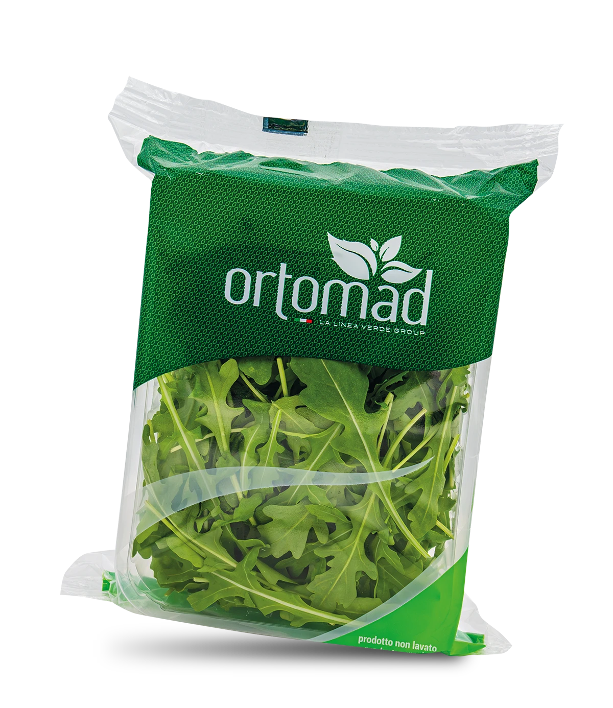 Rucola