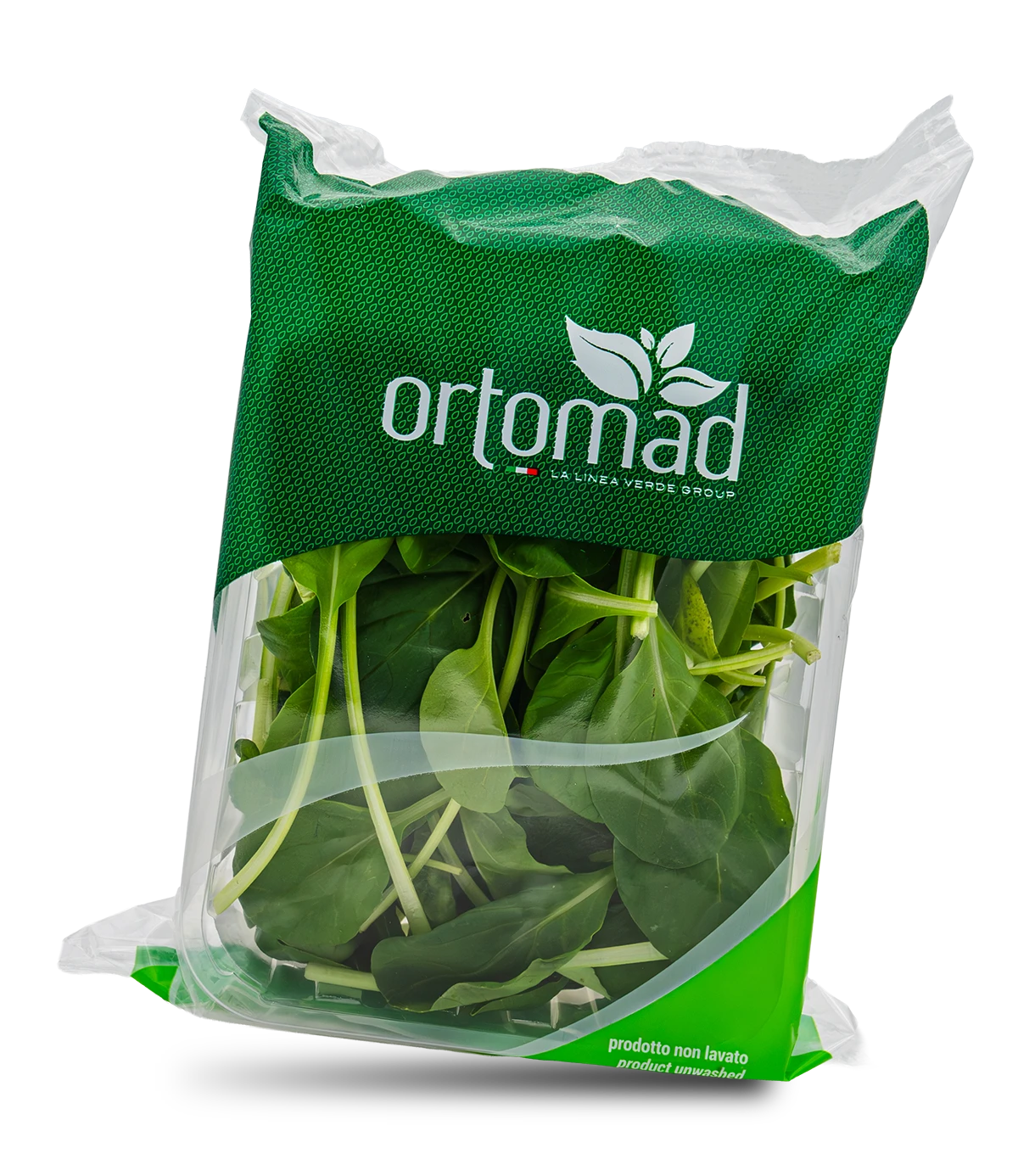 Tatsoi