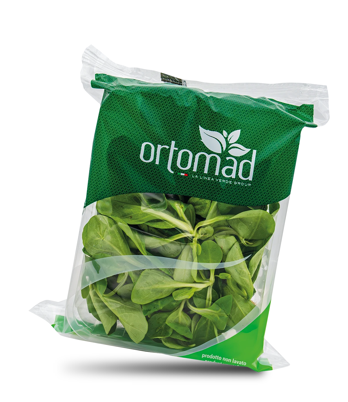 Valeriana